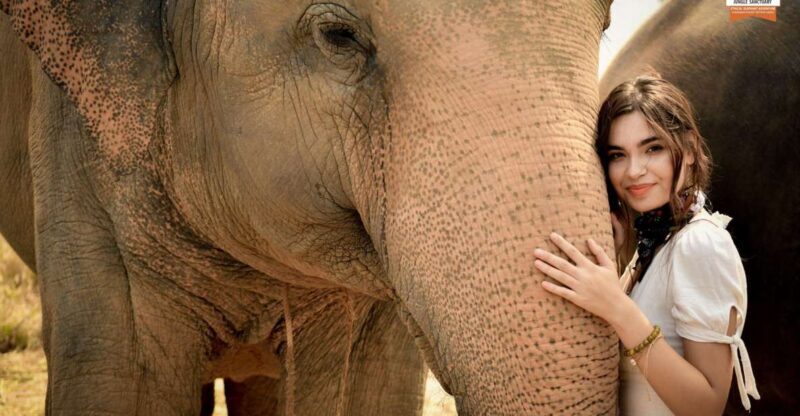 Pattaya: Elephant Jungle Sanctuary Feeding Experience - A Closer Look at the Elephant Jungle Sanctuary Pattaya Experience