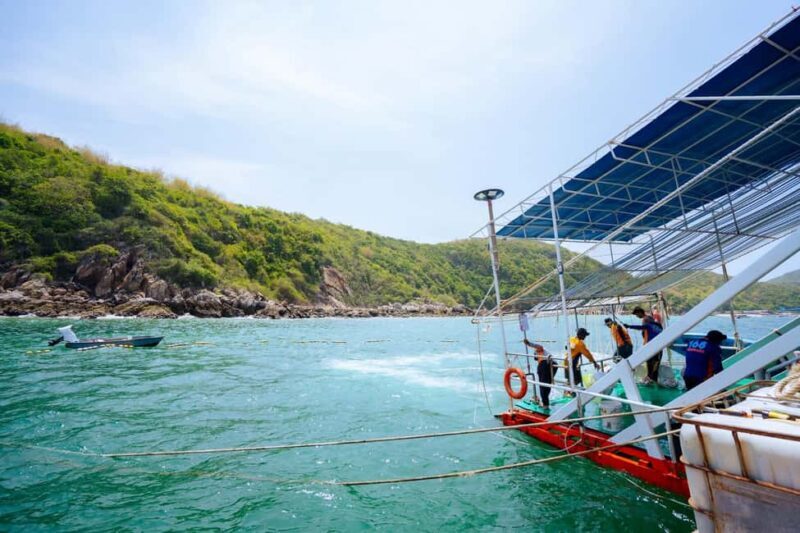 Pattaya Island Trip with Indian Lunch & Flexible Pickup Time - Final Thoughts