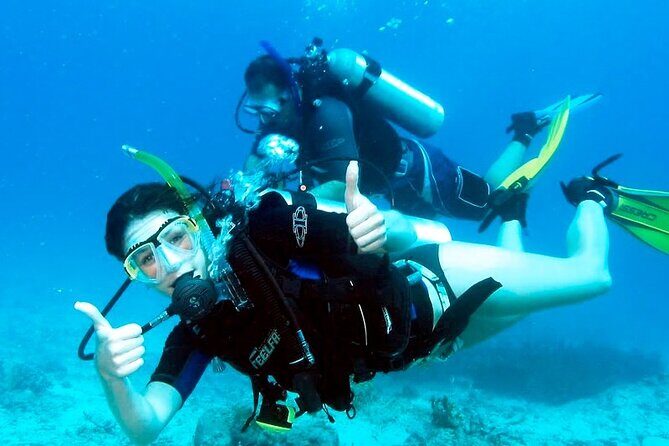 Pattaya PADI Beginner Scuba Diving One Try Dive Depth 6 Meters and Snorkeling ) - Who Will Love This Tour?