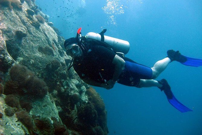 Pattaya PADI Scuba Diving Two Exciting Try Dives with PADI Instructor in Pattaya - Possible Drawbacks to Keep in Mind