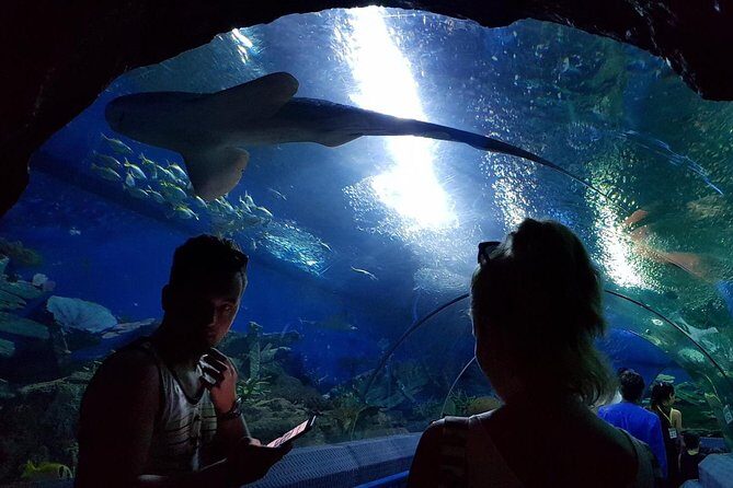Pattaya Underwater World - Discover Ocean Treasures - The Visit: A Step-by-Step Breakdown