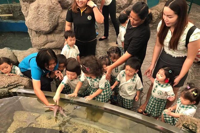 Pattaya Underwater World - Discover Ocean Treasures - Analyzing Value for Money