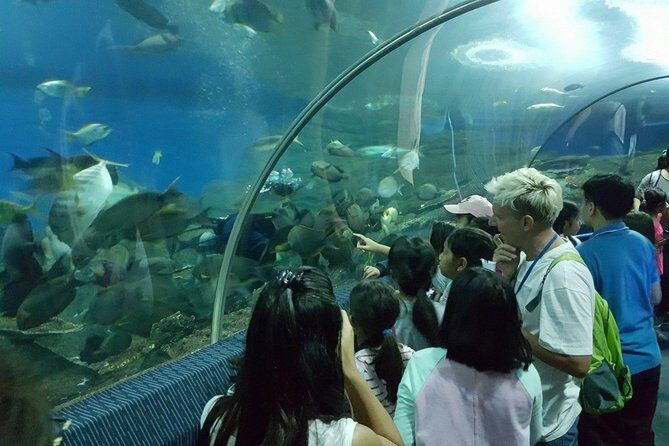 Pattaya Underwater World - Discover Ocean Treasures - Who Will Love This Experience?