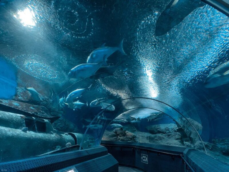 Pattaya: Underwater World Pattaya Aquarium Admission Ticket - What to Expect at Underwater World Pattaya