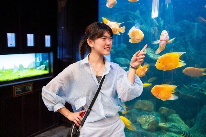 Pattaya Underwater World Tickets with Optional Hotel Pickup - What to Expect at Pattaya’s Underwater World