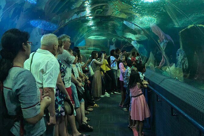Pattaya Underwater World Tickets with Optional Hotel Pickup - Who Should Consider This Tour?