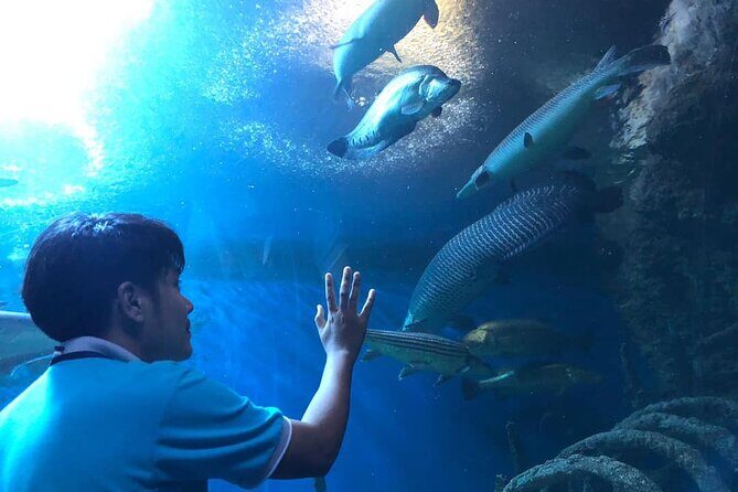 Pattaya Underwater World Tickets with Optional Hotel Pickup - FAQs