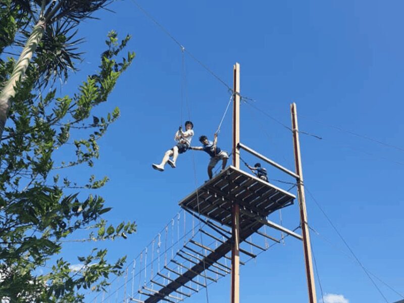 Pattaya: Zipline Adventure with 25 Platforms w/ Kids Option - An Overview of the Experience