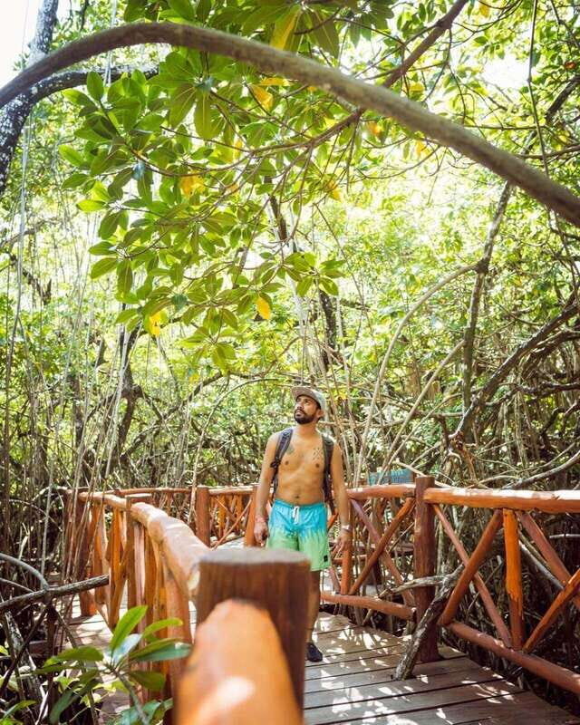 PDC: Eco Adventure at Cenotes Casa Tortuga & Tulum Ruins - Authentic Experiences & Traveler Insights