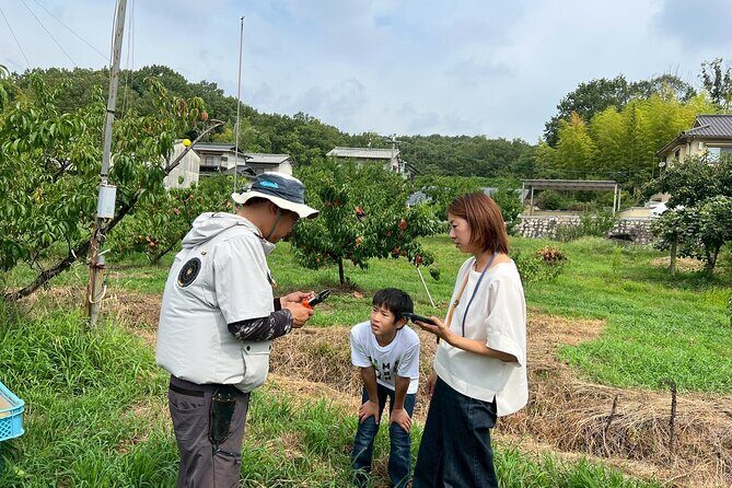 Peach Farm Walk & Farming Experience with a Peach Drink - Key Points