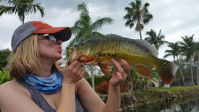 Peacock Bass Fishing Trip in Boynton Beach - Peacock Bass Fishing Trip in Boynton Beach: A Practical Guide to Florida’s Freshwater Treasure