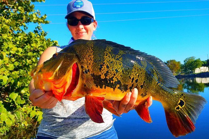 Peacock Bass Fishing Trip in Boynton Beach - Key Points