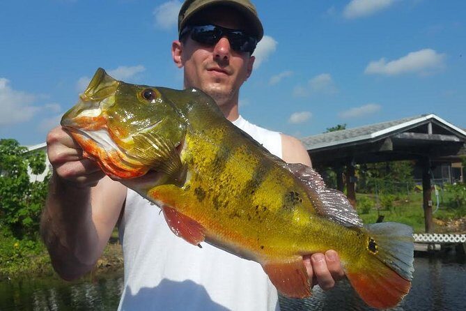 Peacock Bass Fishing Trip in Boynton Beach - The Value for Your Money