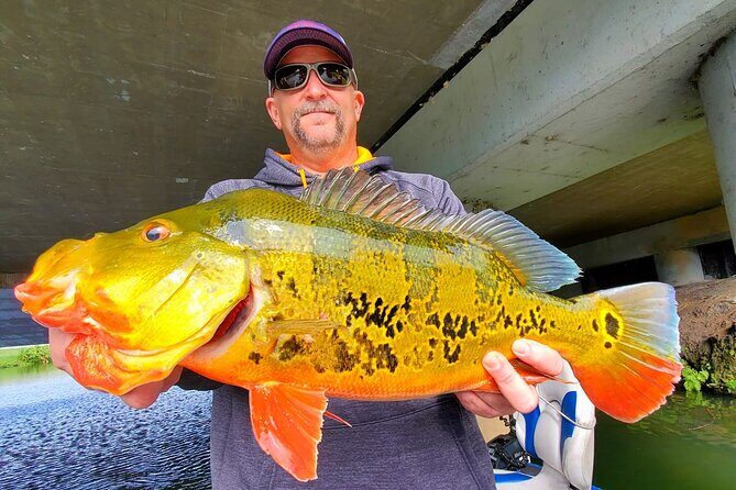 Peacock Bass Fishing Trip near Miami South Beach - The Value Proposition