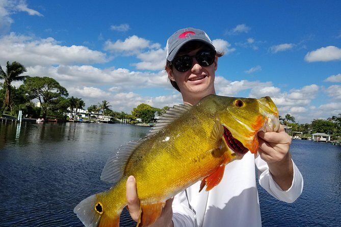 Peacock Bass Fishing Trip near Palm Beach - The Experience in Detail