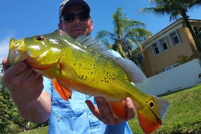 Peacock Bass Fishing Trip near Palm Beach - Practical Tips for Your Trip