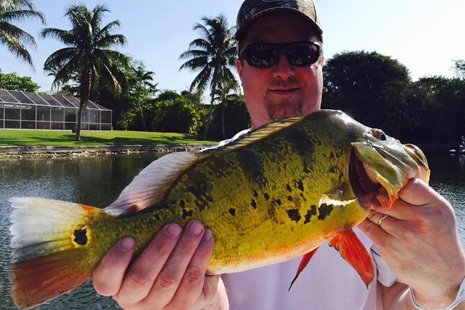 Peacock Bass Fishing Trips near Boca Raton - Authentic Experiences and Review Insights