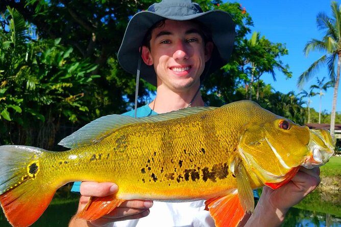 Peacock Bass Fishing Trips Near Key Largo - Analyzing the Experience: What You Can Expect