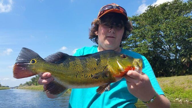 Peacock Bass Fishing Trips Near Key Largo - Who Should Book This Experience?