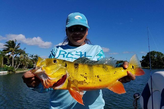 Peacock Bass Fishing Trips Near Miami Florida - Review Highlights and Authentic Perspectives