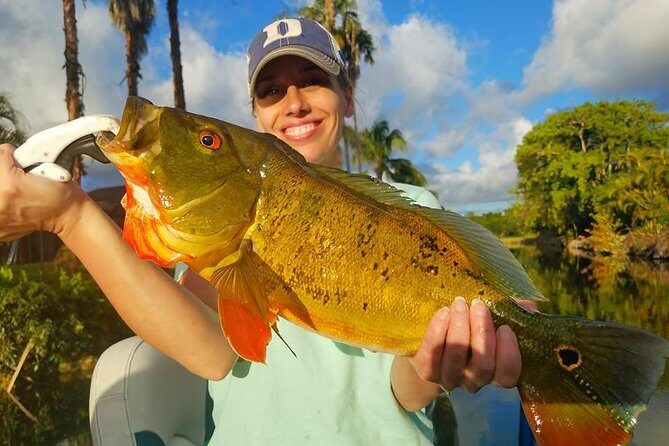 Peacock Bass Fishing Trips Near Miami Florida - The Sum Up