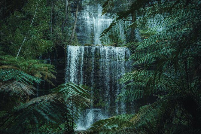 Peaks, Falls & Furry Locals: Mt. Field & the Derwent - Introduction