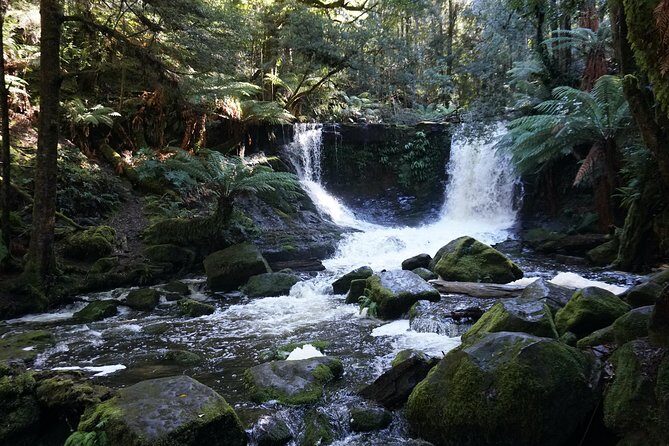 Peaks, Falls & Furry Locals: Mt. Field & the Derwent - Key Points