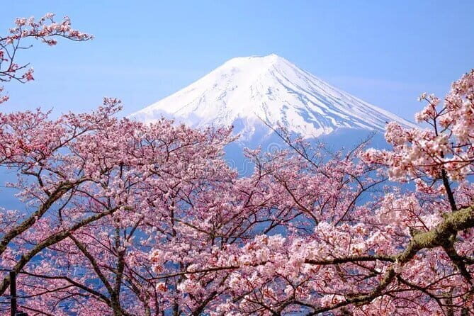 Peaks & Peace: Mt. Fuji, Fuji Stupa & Hakone Tour - The Journey Begins: What to Expect