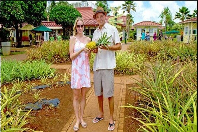 Pearl Harbor, Dole Plantation, and Polynesian Center from Maui - The Sum Up: Is It Worth It?