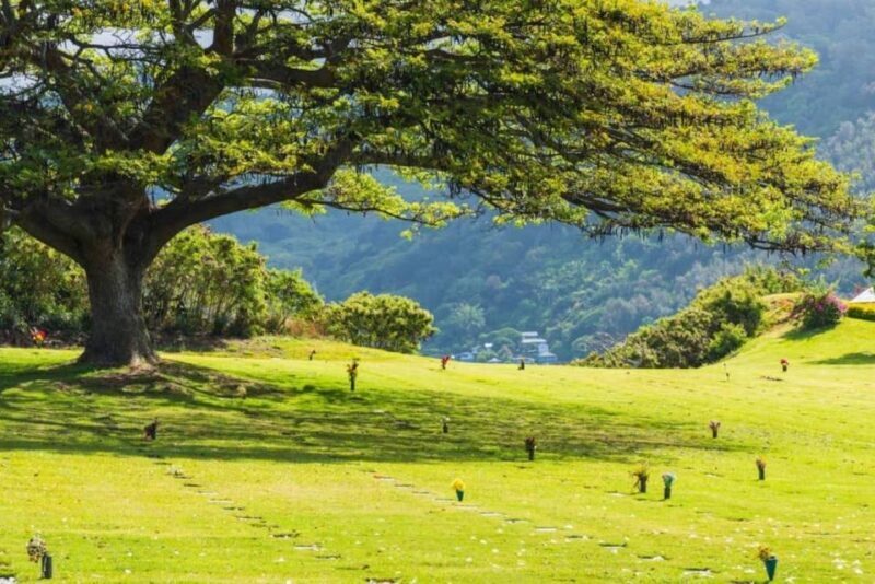 Pearl Harbor Oahu Circle Island Tour - The Value of This Experience