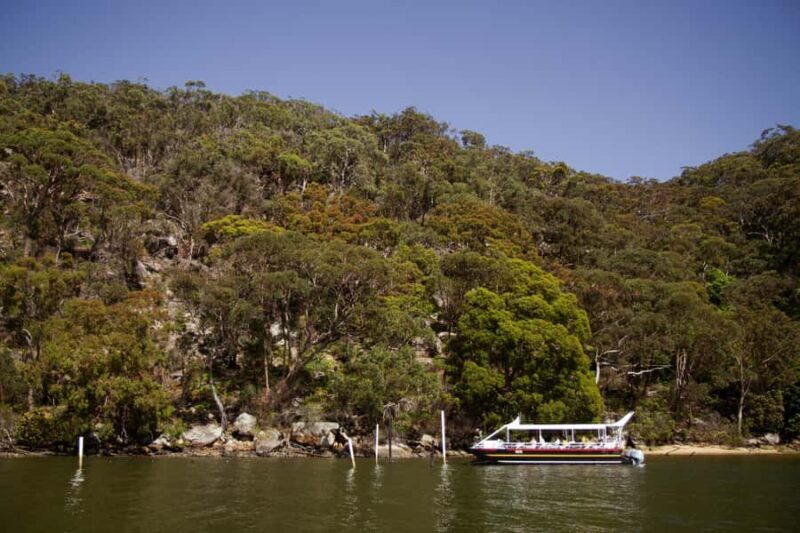 Pearl & Oyster Farm Hawkesbury River Cruise - The Value of This Experience