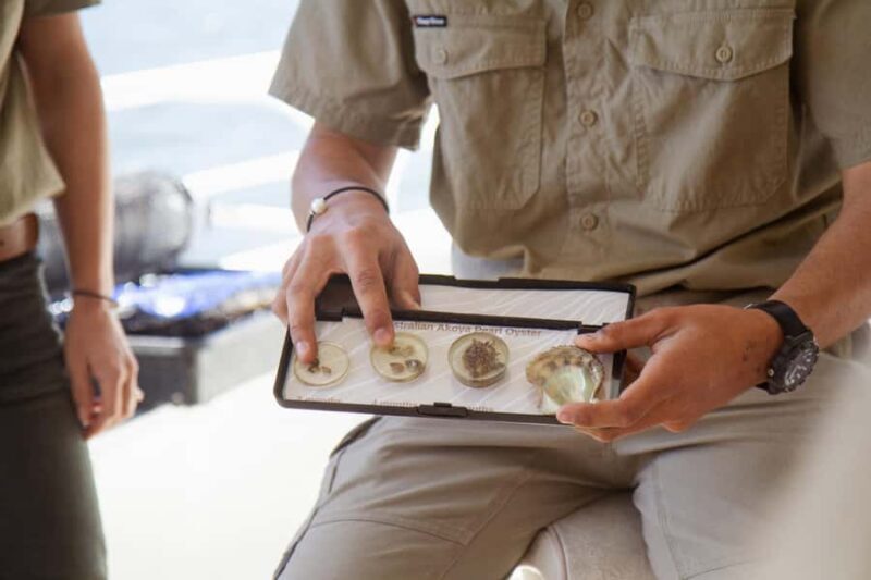 Pearl & Oyster Farm Hawkesbury River Cruise - Final Thoughts