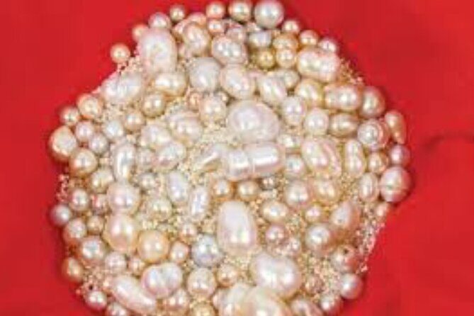 Pearling Path Experience - World Heritage Site - Who Should Consider This Tour?