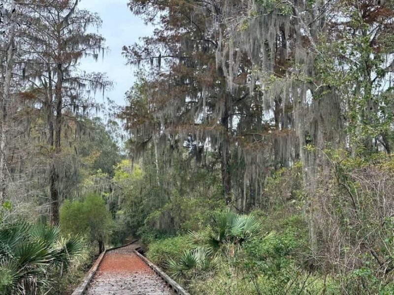 Pearlington: Devil's Swamp Eco Walking Tour - Exploring the Pearlington Devil’s Swamp Eco Walking Tour