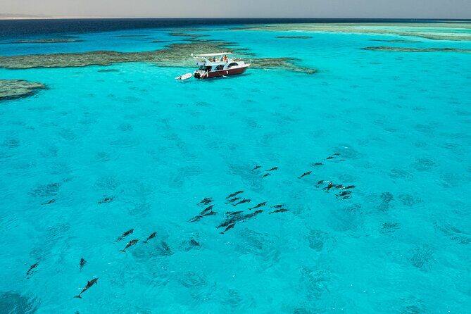 Pearls Island - The Itinerary in Detail: What You’ll Experience