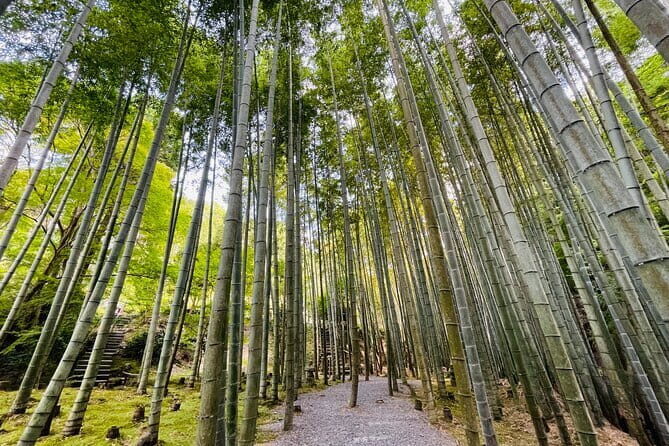 Pedal Adventure Kyoto E-Bike tour : True Kyoto Avoid the crowds - A Closer Look at the Kyoto E-Bike Tour