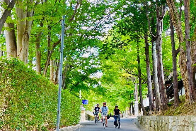 Pedal Adventure Kyoto's iconic landmarks on an e-bike tour - Key Points