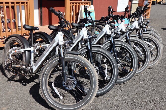 Pedal and Paddle Wine Tour in Arizona - What to Expect from the Pedal and Paddle Wine Tour