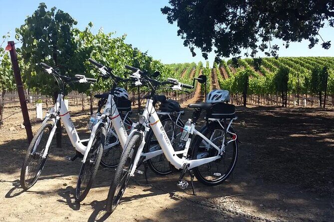 Pedal and Paddle Wine Tour in Arizona - What Travelers Say