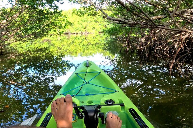 Pedal Kayak Mangrove Tunnel Tour in Bradenton - Pedal Kayak Mangrove Tunnel Tour in Bradenton: A Natural Florida Experience