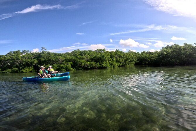 Pedal Kayak Mangrove Tunnel Tour in Bradenton - Detailed Itinerary Breakdown
