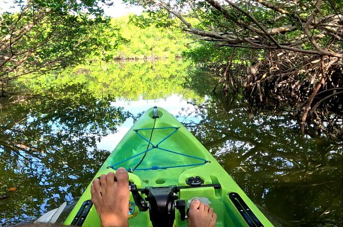 Pedal Kayak Mangrove Tunnel Tour in Bradenton - What the Experience Feels Like