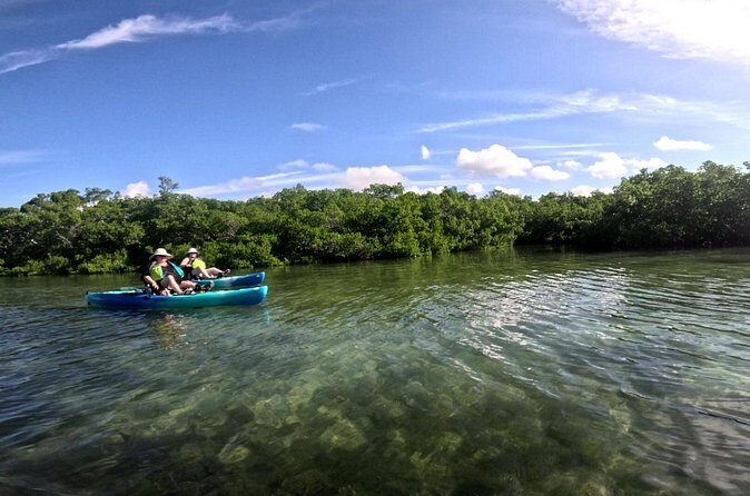 Pedal Kayak Mangrove Tunnel Tour in Bradenton - The Sum Up