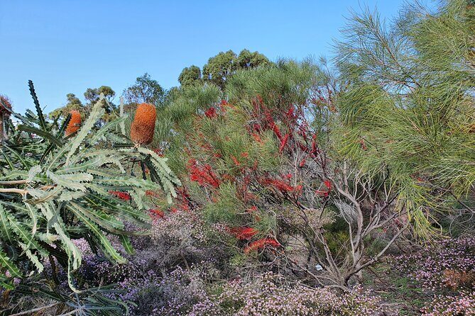 Pedals & Petals - Discovering Wildflowers Bike Tour Kings Park - Frequently Asked Questions