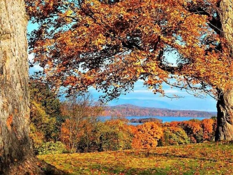 Peekskill, New York: Oktoberfest Cruise with Live Music - Who Is This Experience Best For?