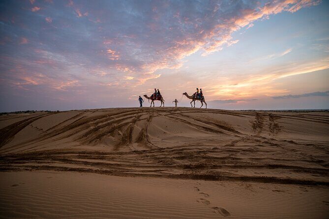 Peep's Billions of Stars Experience with Desert & Camel Safari - Who Would Love This Tour?
