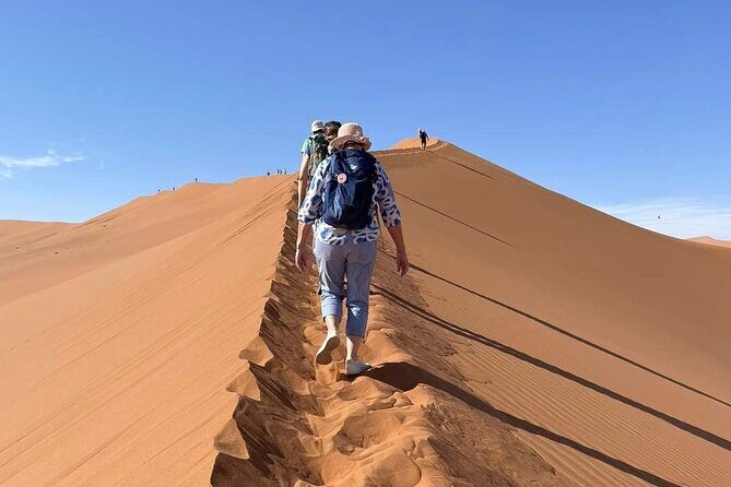 Pelican Point tours,Lagoon tours, Dune7 Adventure - The Sum Up: Who Should Book This Tour?