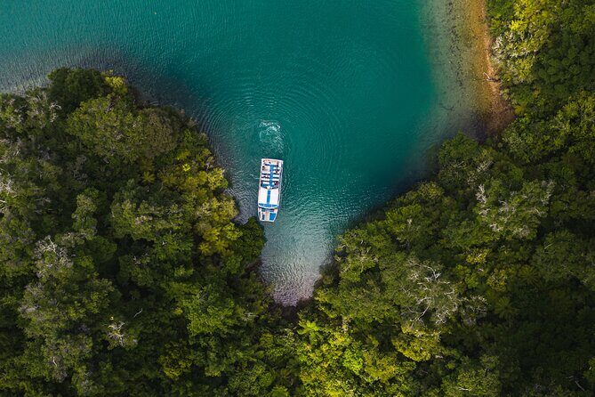Pelorus Mail Boat Sunday Scenic Cruise Full-Day from Havelock - FAQs