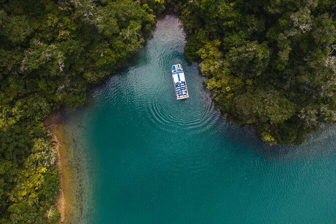 Pelorus Mail Boat Sunday Scenic Cruise Full-Day from Havelock - Final Thoughts