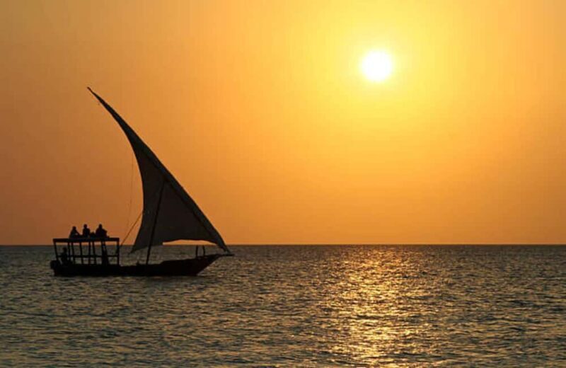 Pemba Island: Dhow Race and Spice Plantation Tour - What to Expect from the Dhow Race and Spice Tour
